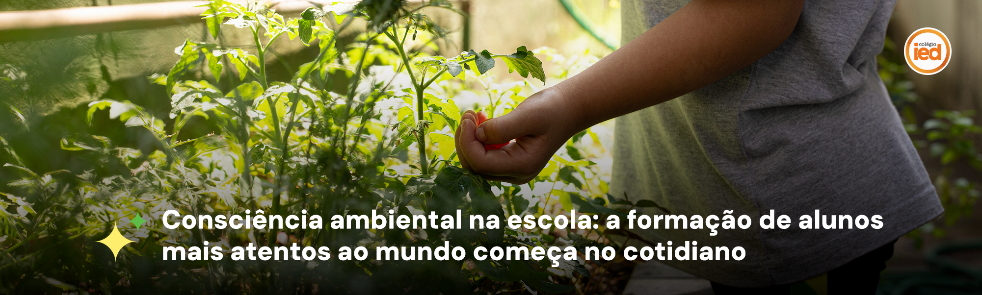 IED---05-06---Blog---Consciência-ambiental-Blog-grande